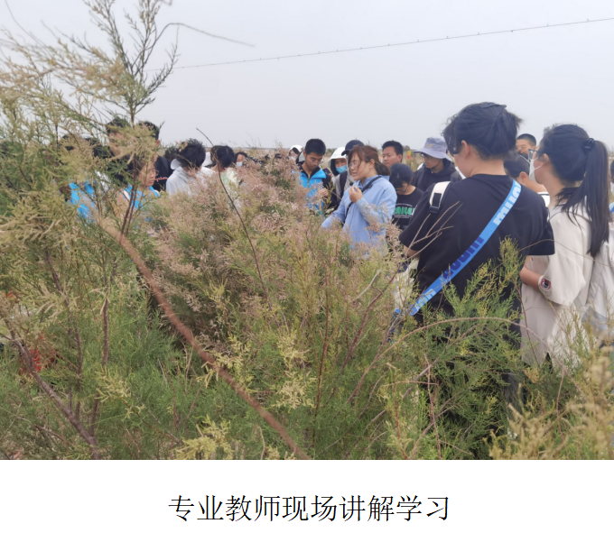 qy球友会